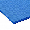 AIREX® Hercules gymnastic mat 