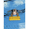 Swim board with handles