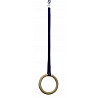 swinging rings