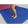 Team Landing mat