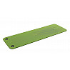 AIREX® Gymnastics mat Fitline 180 with eyelets