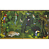 Indoor climbing wall Jungle Olympics