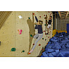 Children's climbing handle set animals