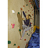 Children's climbing handle set animals