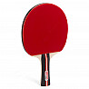 Training bat BE 20