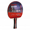 Training bat BE 30