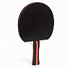Training bat BE 30