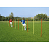 slalom pole