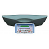 Multi Top, table display