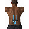 Thera-Band Kinesiology Tape Precut roll 25.4 x 5 cm