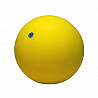 WV-exercise ball