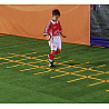 Lines Coordination System