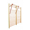 BENZ pull-up bar