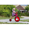 Penny farthing