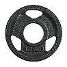 Weight Plate Cast