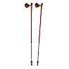 Nordic walking poles 