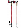 Nordic walking poles 