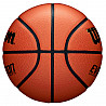 Wilson Evolution Basketball