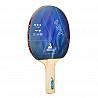 Table tennis training set