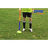 Training aid Cone Champ