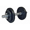 Dumbbell 10 kg
