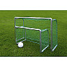 Safety Mini training goal