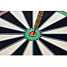 Tournament Dartboard