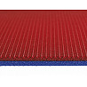 Gym aerobics mat Luise
