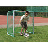 Mini Goal Net (Pair)