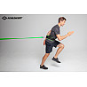Speed Trainer Pro