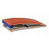 Springboard Junior
