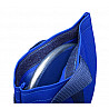Discus Carrying Case