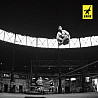 Slackline Gibbon Jibline