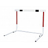 Exercise hurdle Club