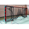 Dolly soccer goals