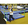 exercise bars