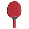 BENZ table tennis all weather set