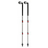 Trekking poles Alps