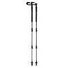 Trekking poles Alps