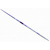 Nemeth spear School 800