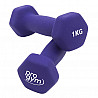 PROGYM neoprene dumbbell pair