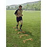 Mini Training Hurdle