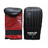 Sparring Gloves