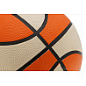 Basketball BENZ Shooting Guard 
