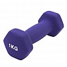 PROGYM neoprene dumbbell Set 16,5 kg