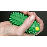 TOGU® BRASIL® (Set of 2)