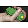 TOGU® BRASIL® (Set of 2)