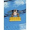 Swim board with handles
