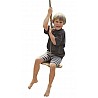 plate swing