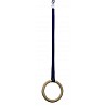 swinging rings